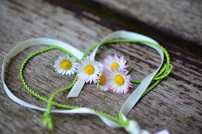 Loving-Kindness and Compassion